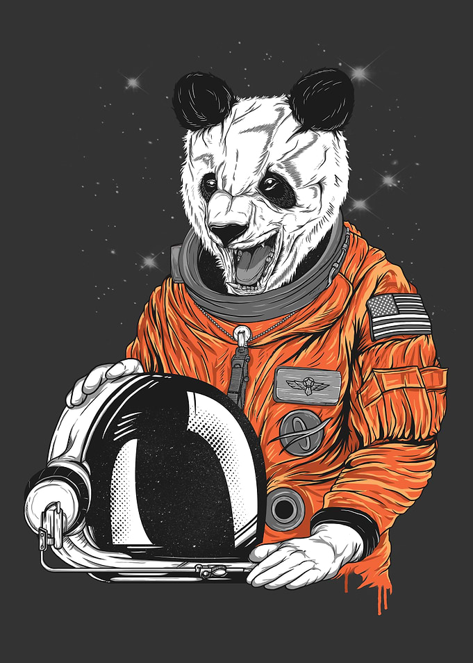 Nothing Beats An Astronaut