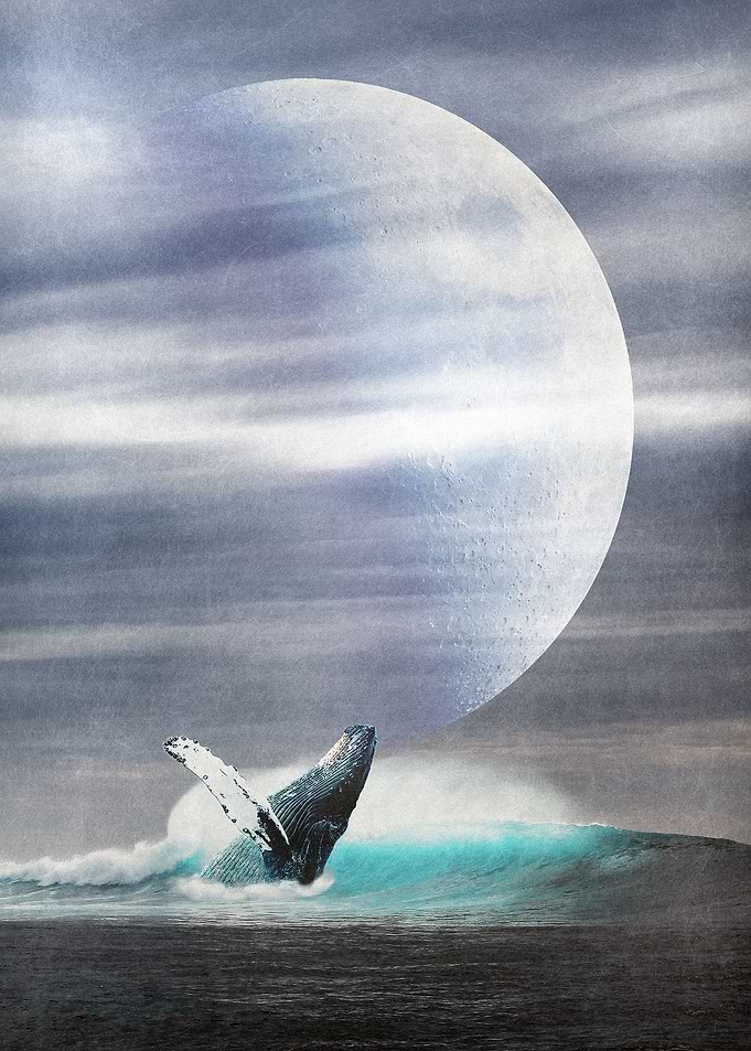 All at Sea