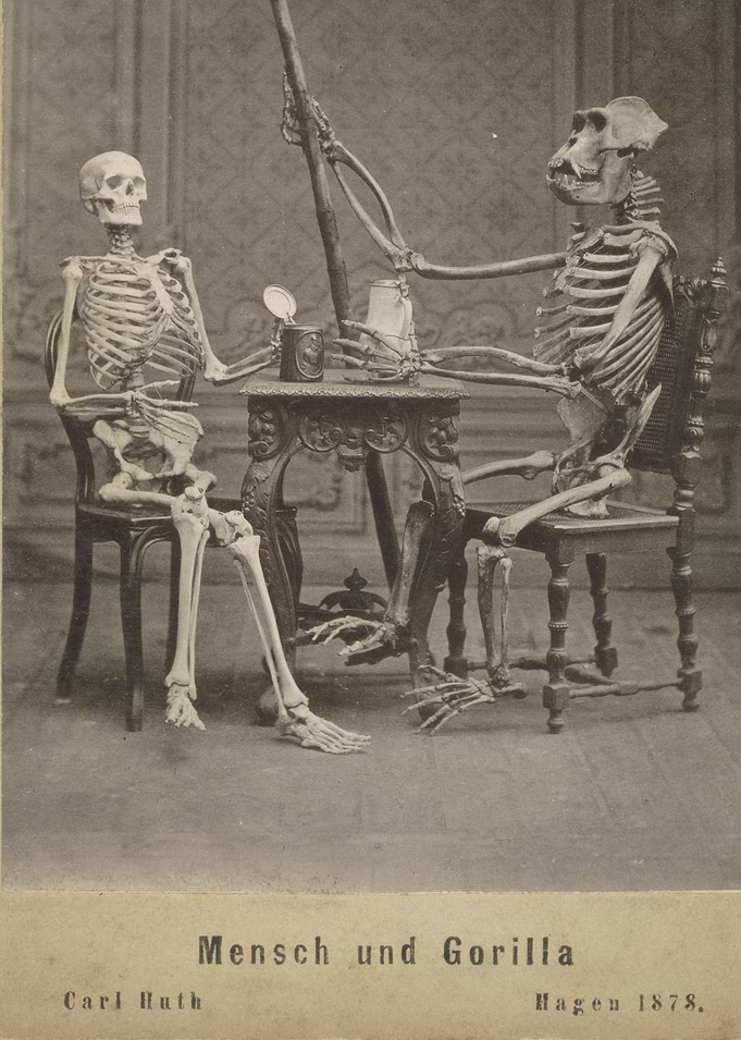Vintage photography