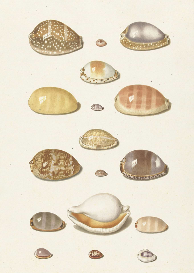 Vintage illustration