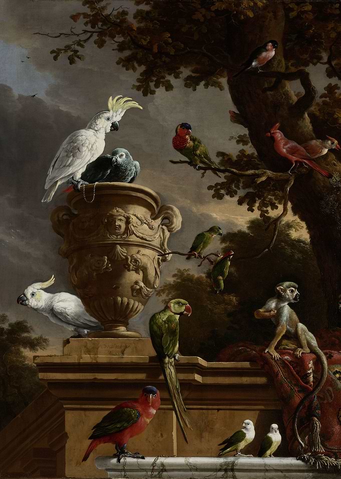 Melchior d'Hondecoeter - The Menagerie, c. 1690, oil on ...