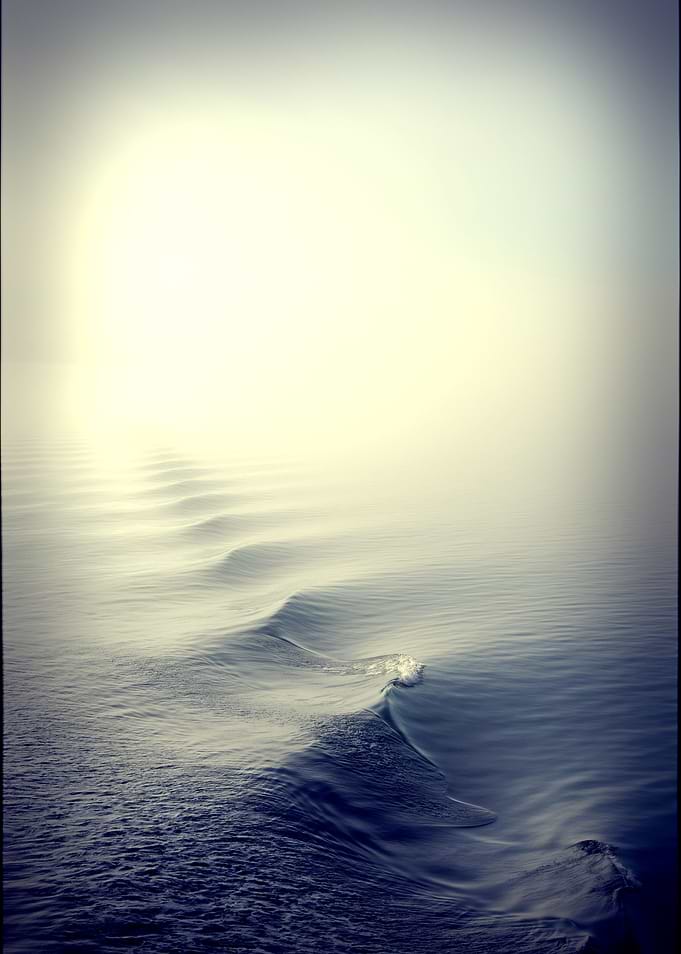 The Fog