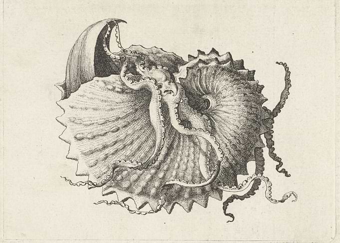 Vintage drawing