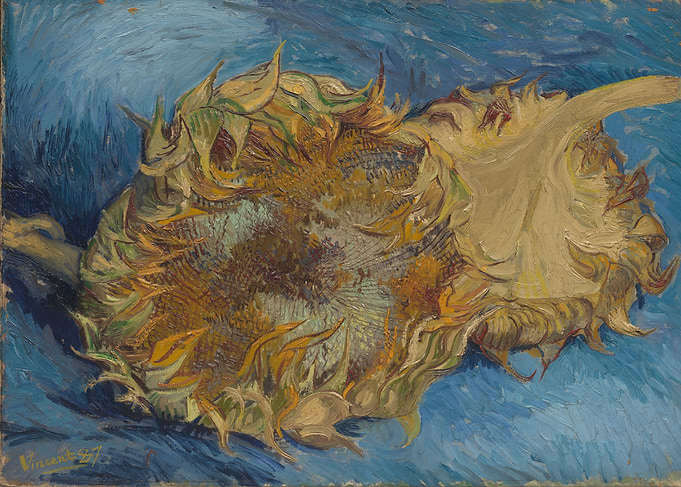 Vincent van Gogh - Sunflowers, 1887, oil on canvas; Col ...
