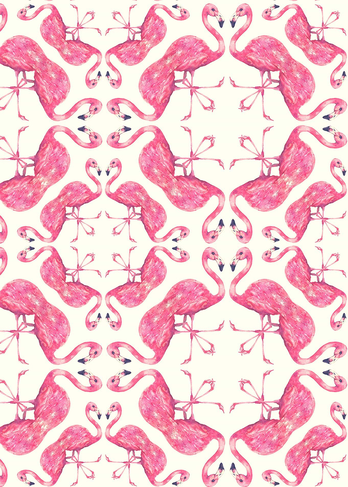 Flamingos