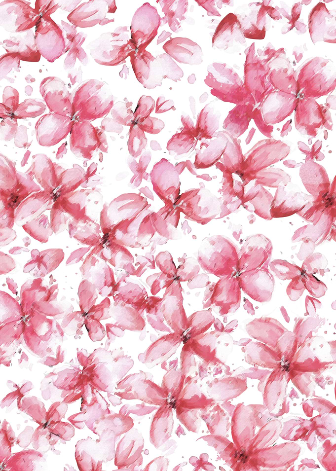 cherry blossoms