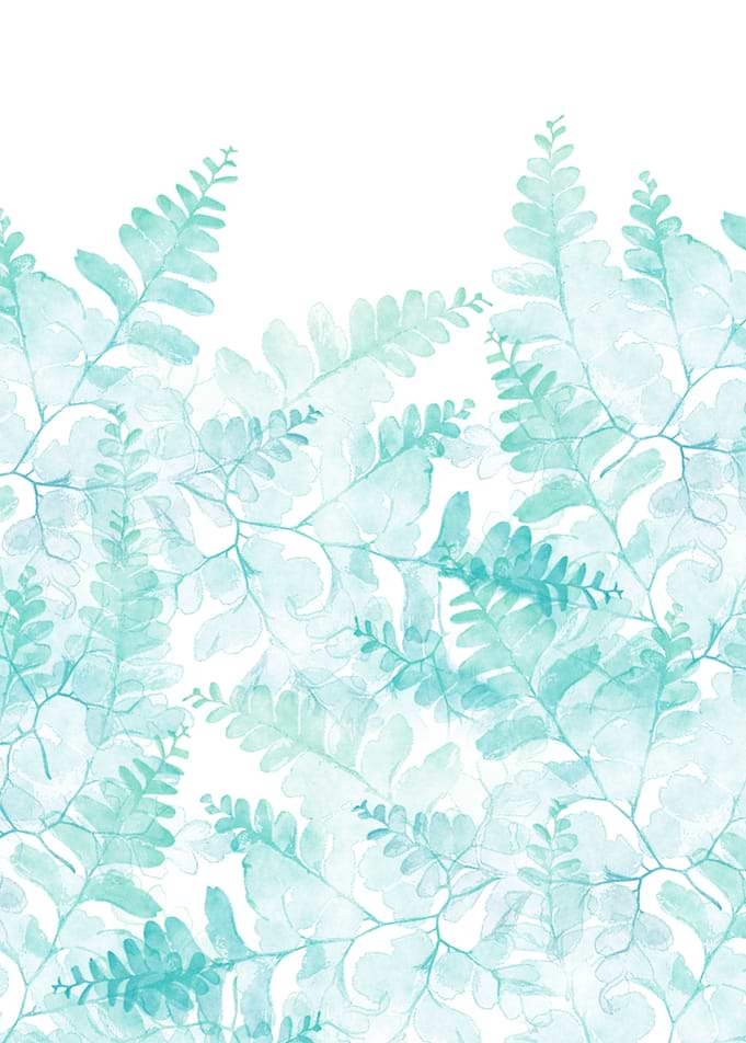 ferns rising