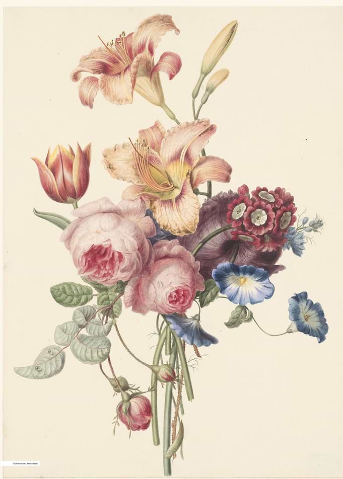 Vintage illustration of flowers