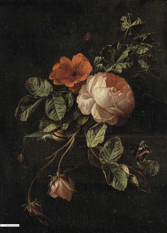 Vintage illustration of flowers