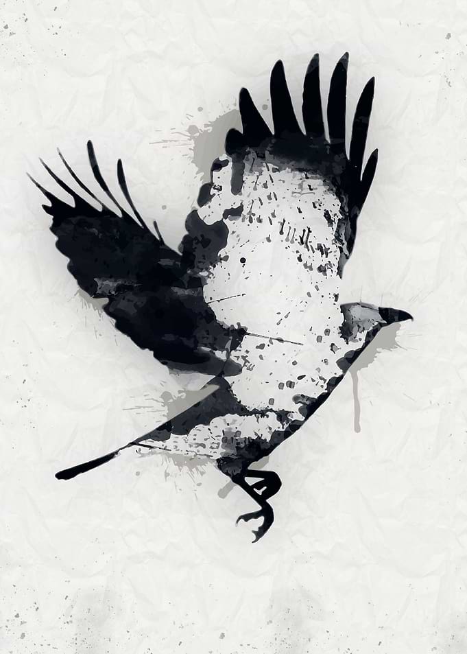 Watercolour Raven