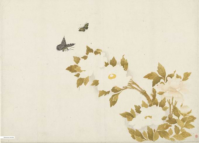 Vintage illustration of flowers