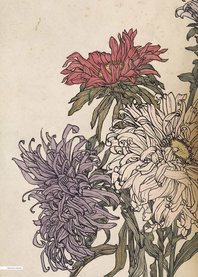 Vintage illustration of flowers