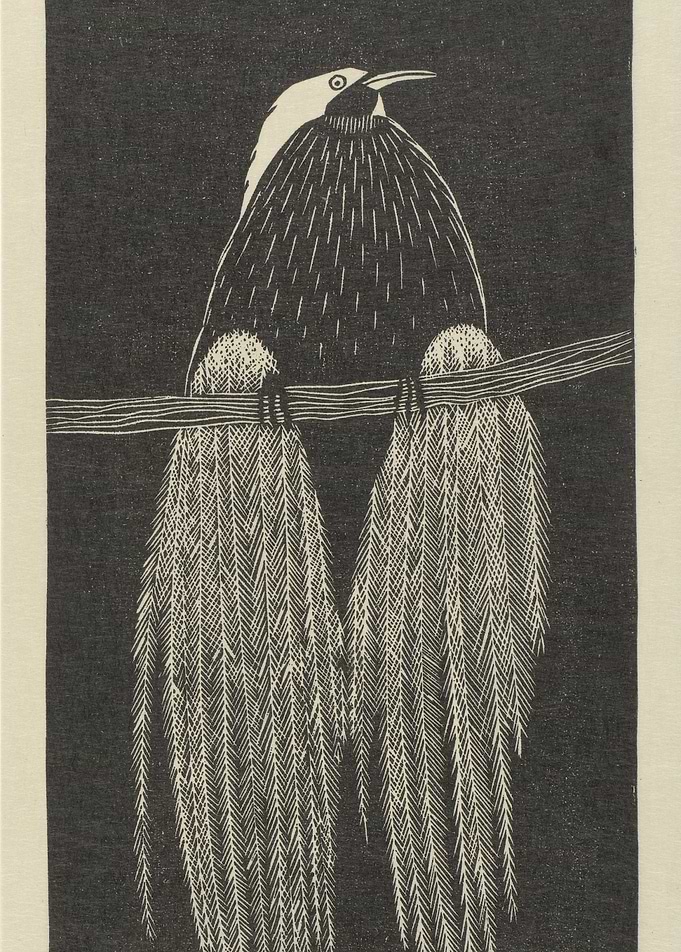 Vintage graphic