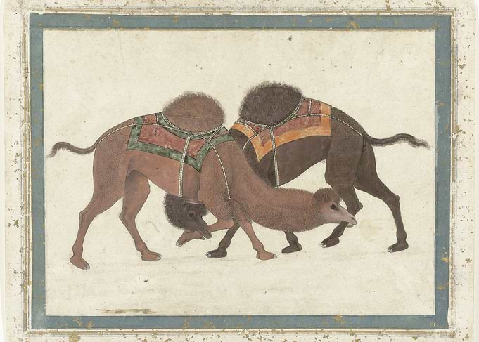 Vintage illustration