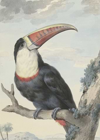 Vintage illustration