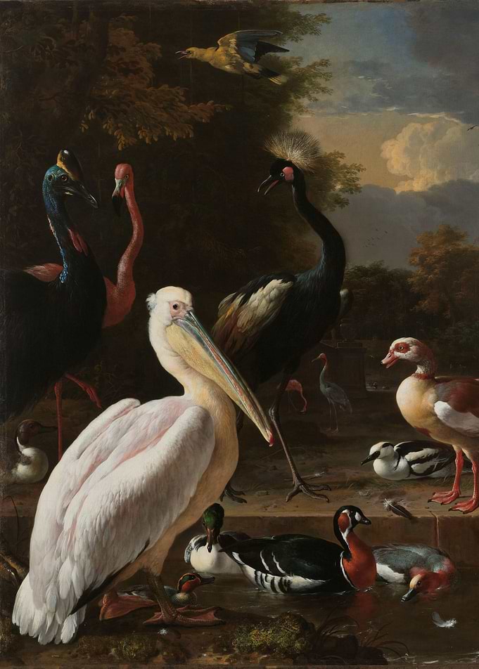 Melchior d'Hondecoeter - A Pelican and other Birds near ...