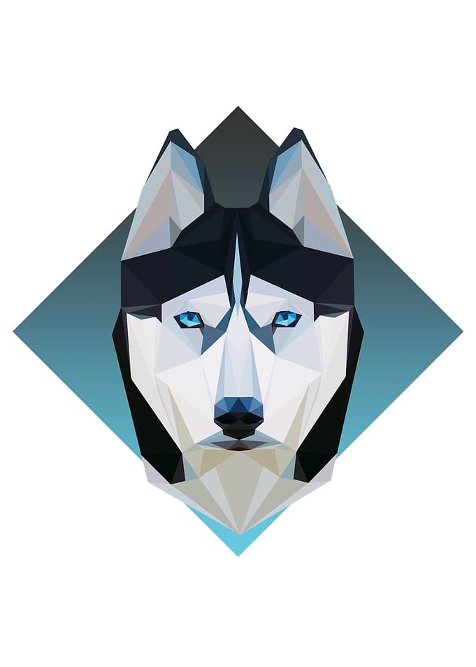 Simplistic Low-Poly Husky!