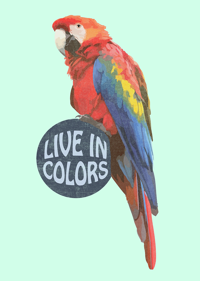 Parrot - Live in colors