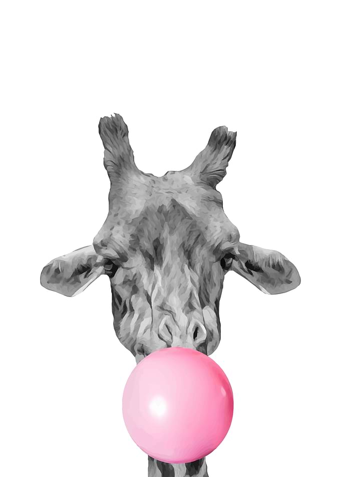 Giraffe making bubblegum