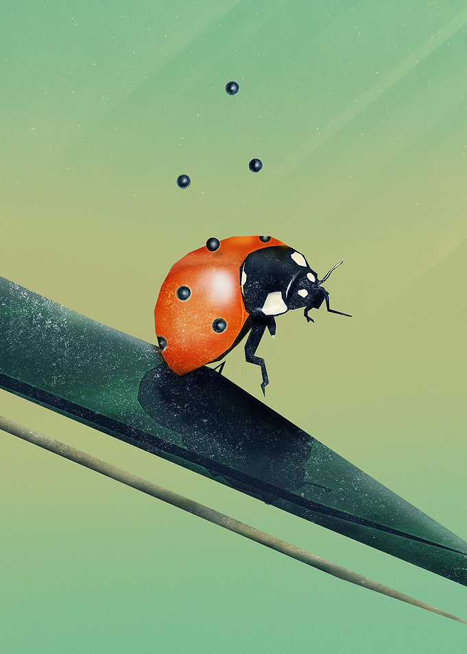 Oh, Bugger (Spring Version) | Digital Art