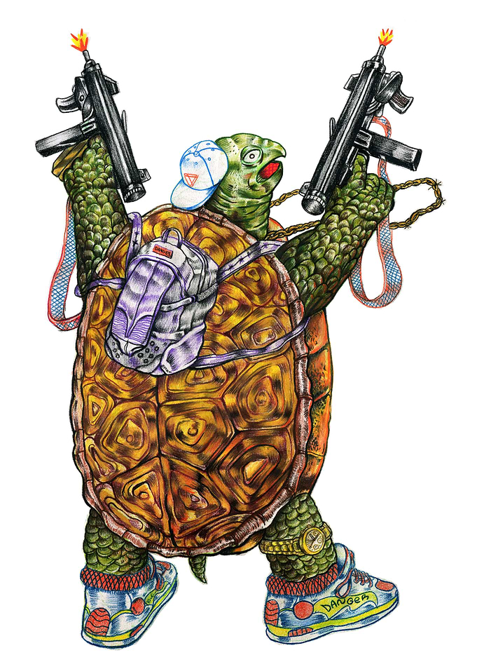 One angry turtle