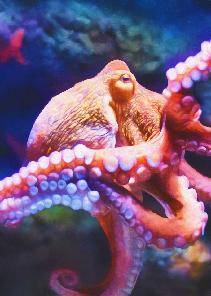 'RAINBOW OCTOPUS'Here I am continuing two things. My co ...