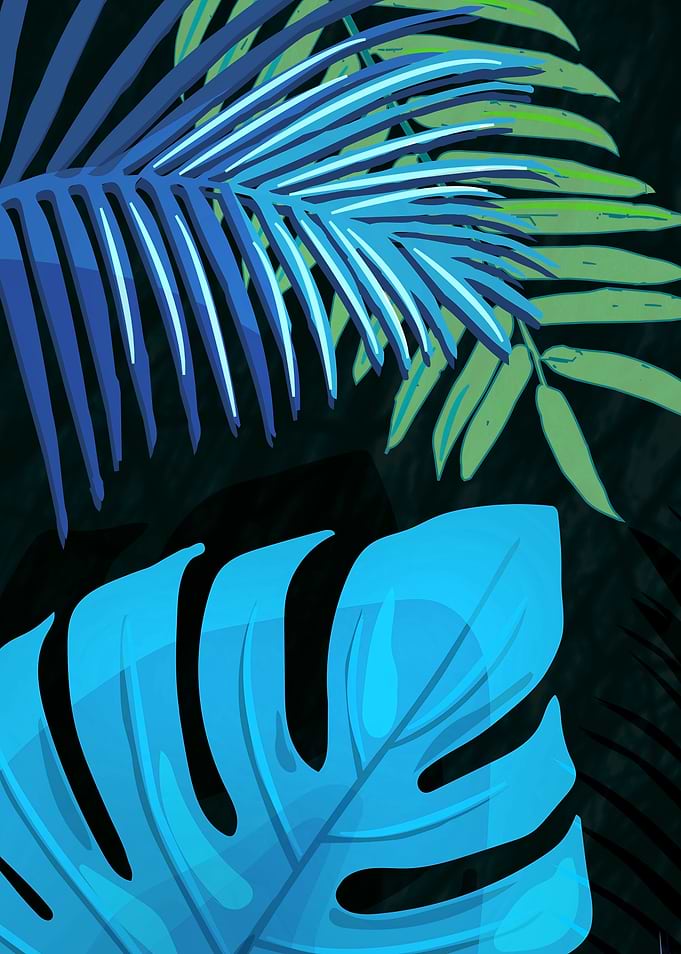 TROPICAL LEAVES no3c