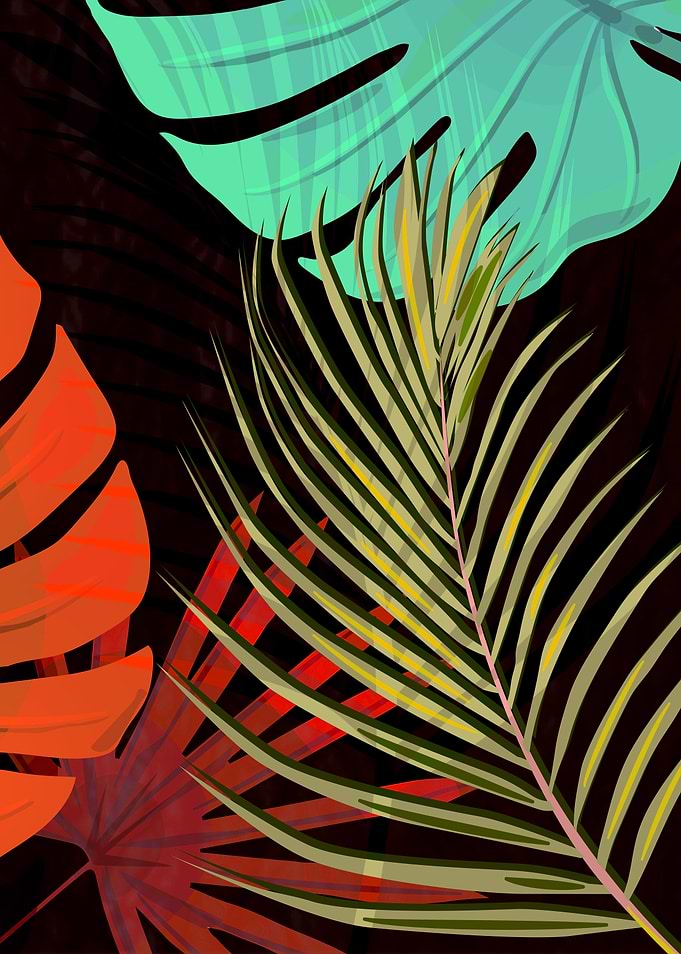TROPICAL LEAVES & BLACK no2b. Colorful Palm Leaves on ...