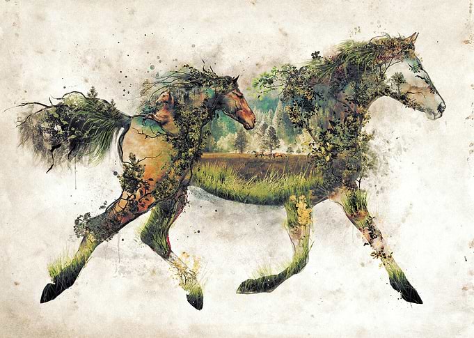 The horse another in my original art nature animal surr ...