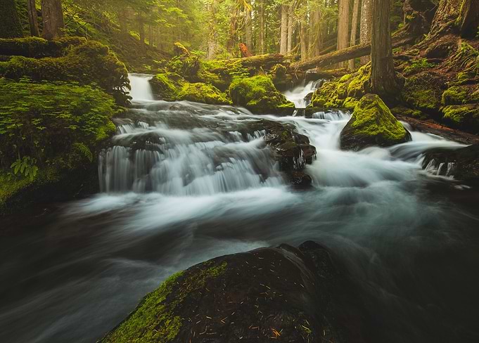 Panther Creek | Cascading water flows around mossy boul ...