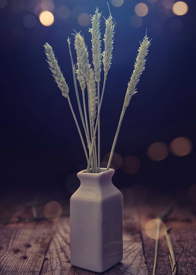 Grain with emotional light