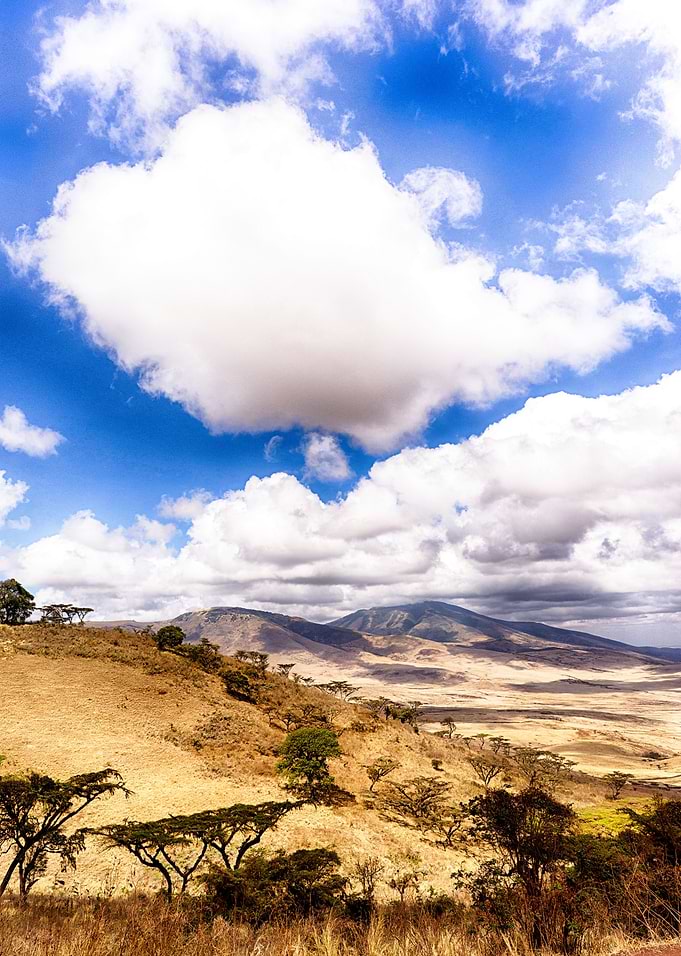 The Landscape