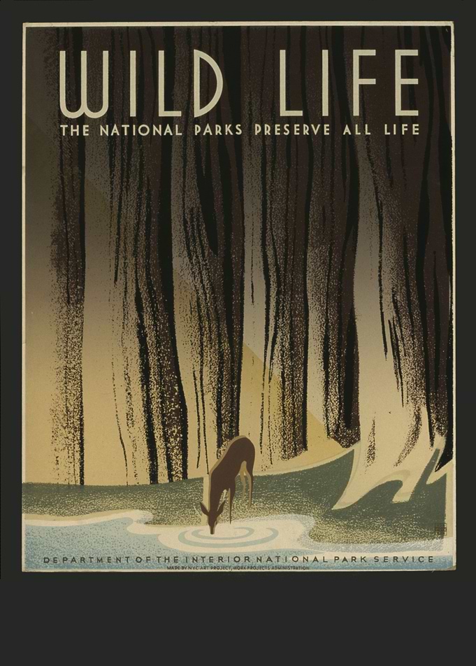 Vintage Animals Poster