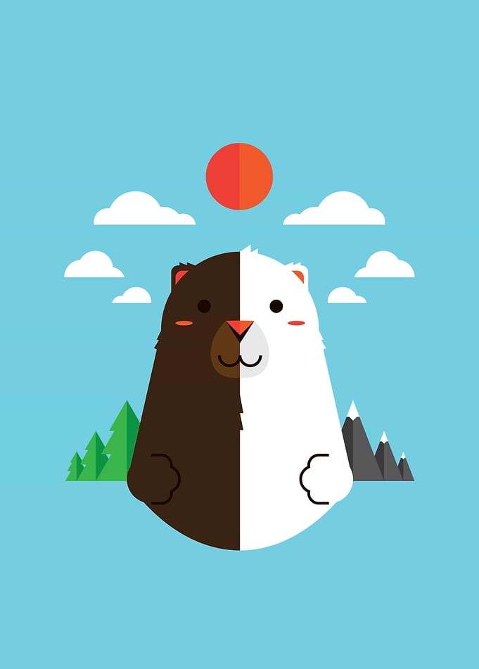 Grizzly & Polar