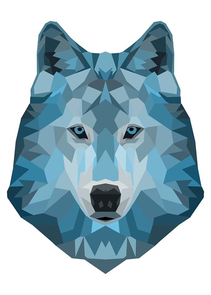 'Ice Wolf' - By Duncyn Neta