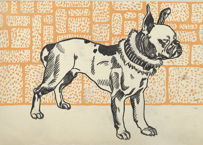 Moriz Jung - Pitbull Terrier, 1912, color litograph; Co ...
