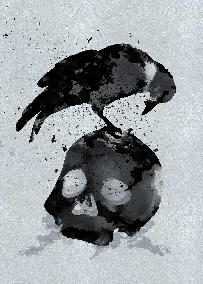 Odin's Raven: Hugin