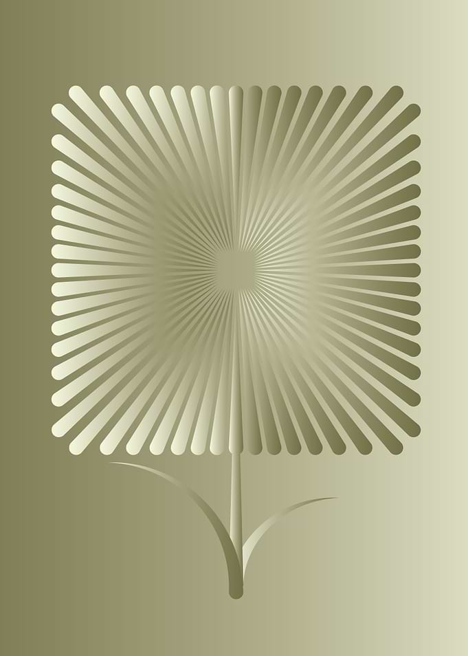 The abstract image of a square-shaped flower