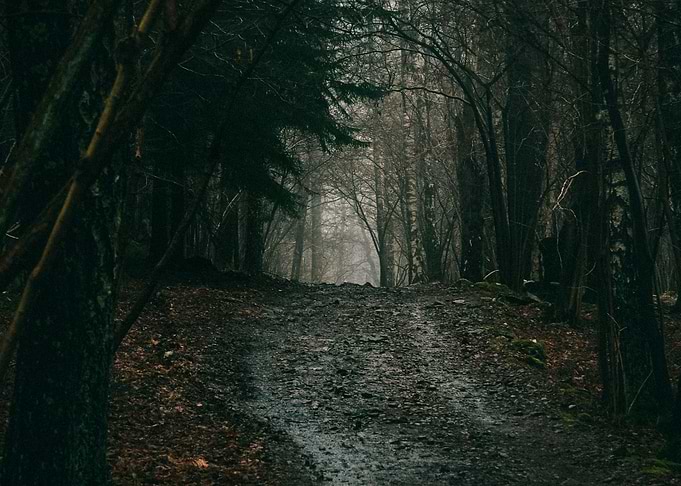 What lies beyond this point? Don't know. I turned aroun ...