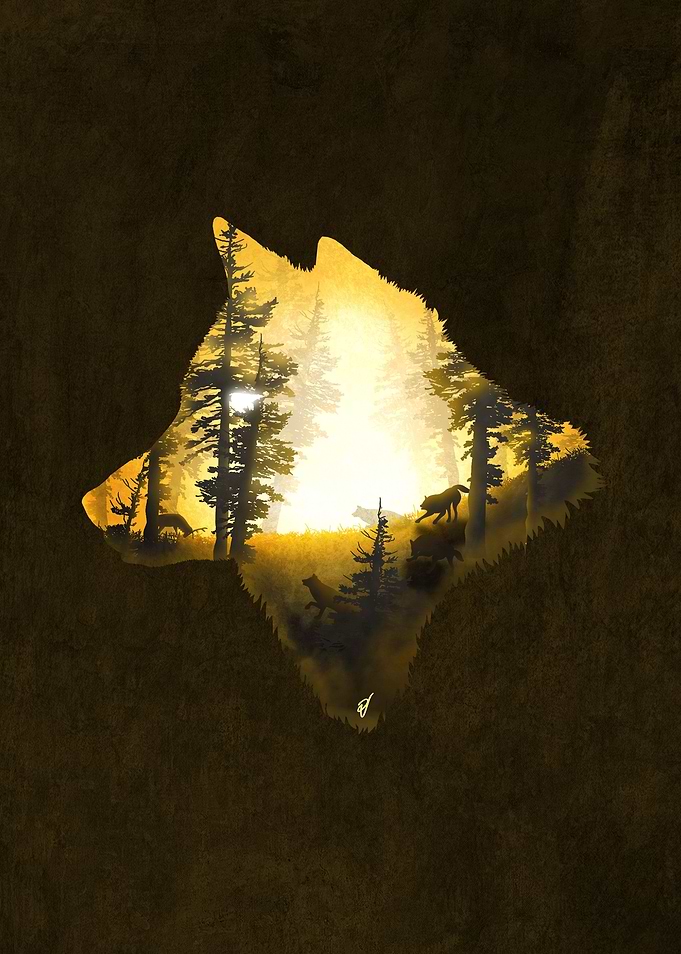 Yellow Wolf