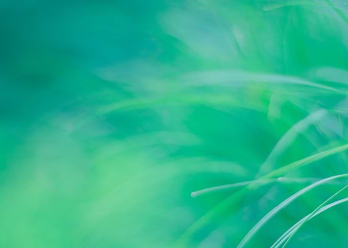 Tropical NO3