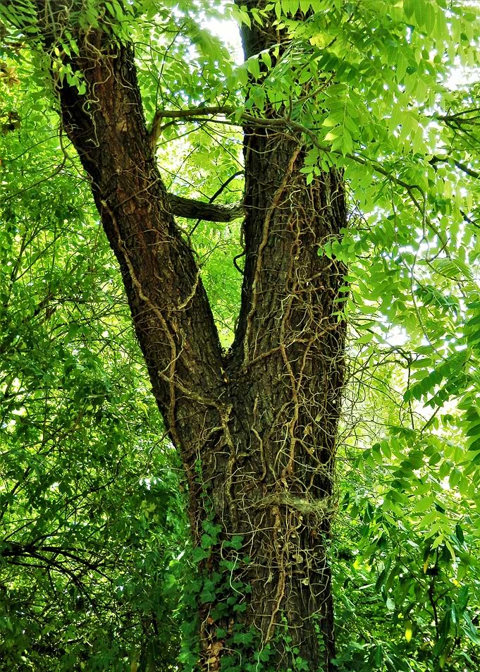 why2 Everything is around to be embraced - Your imagina ...
