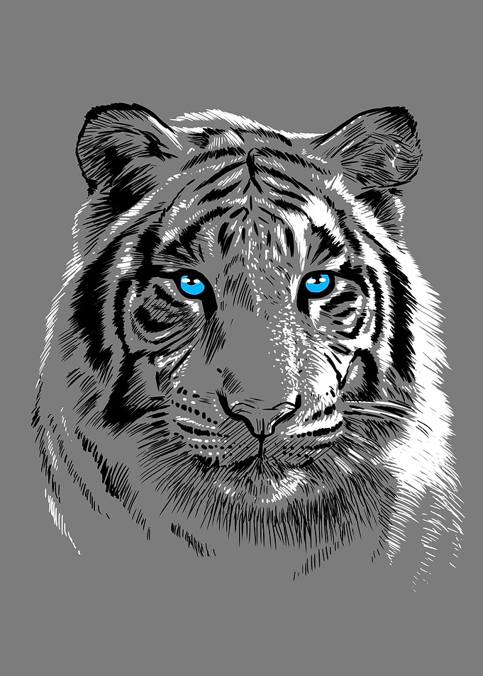 White Tiger