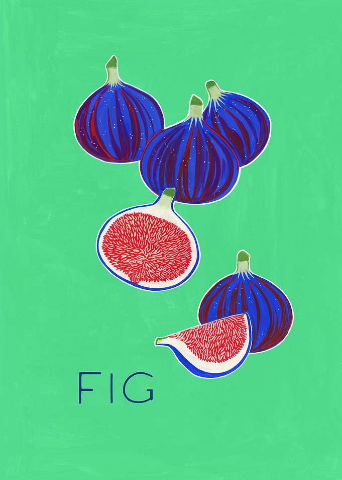 Purple Figs