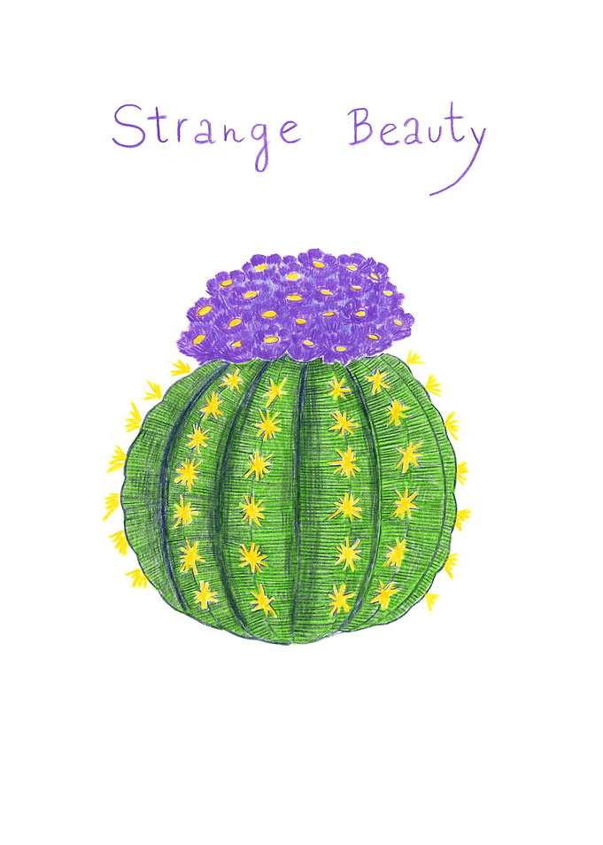 Strange Beauty