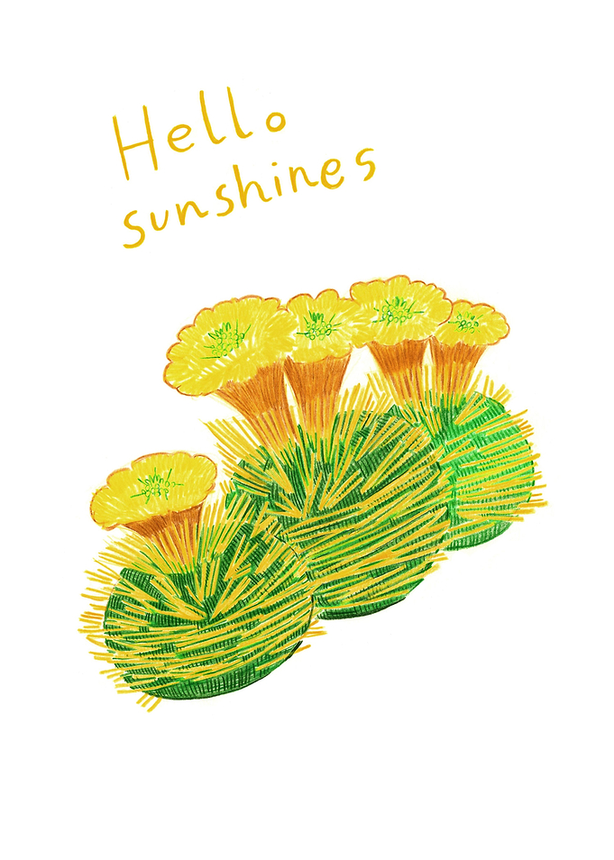 Hello Sunshines