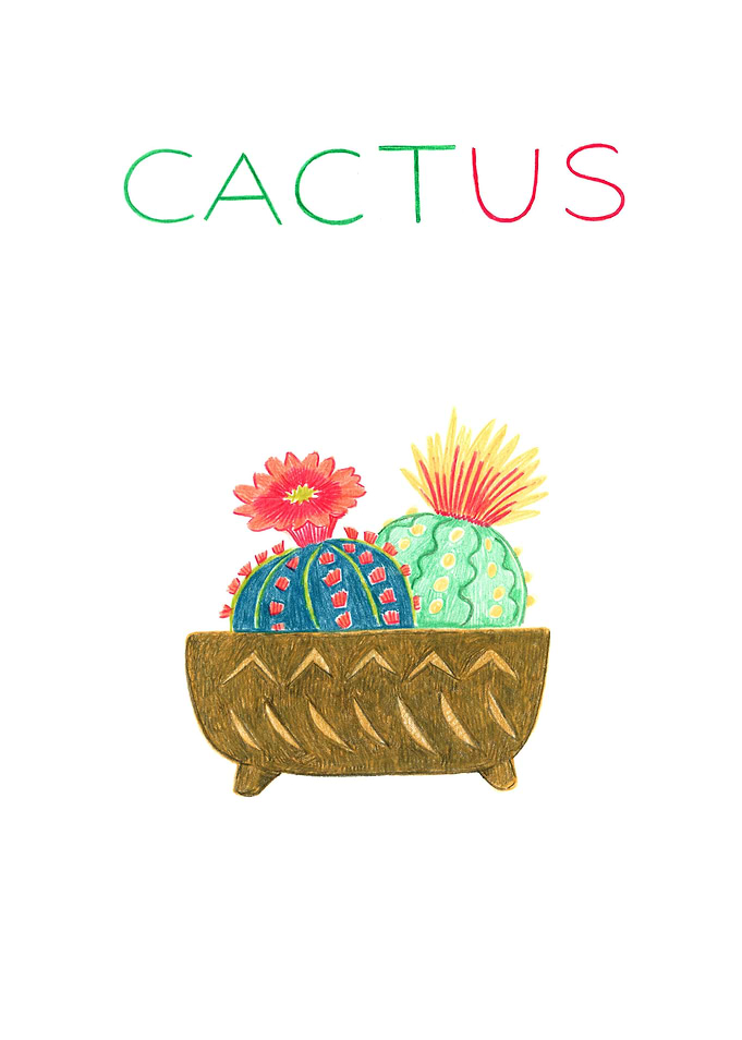 Cact Us