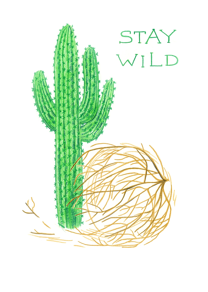Stay Wild