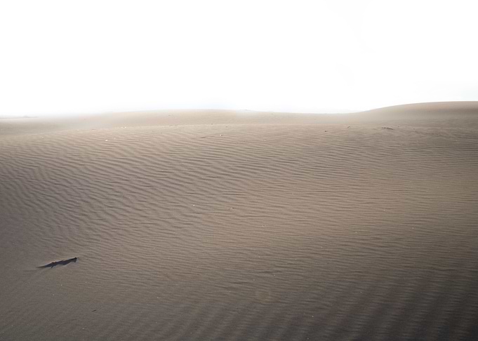 Desert photo.
