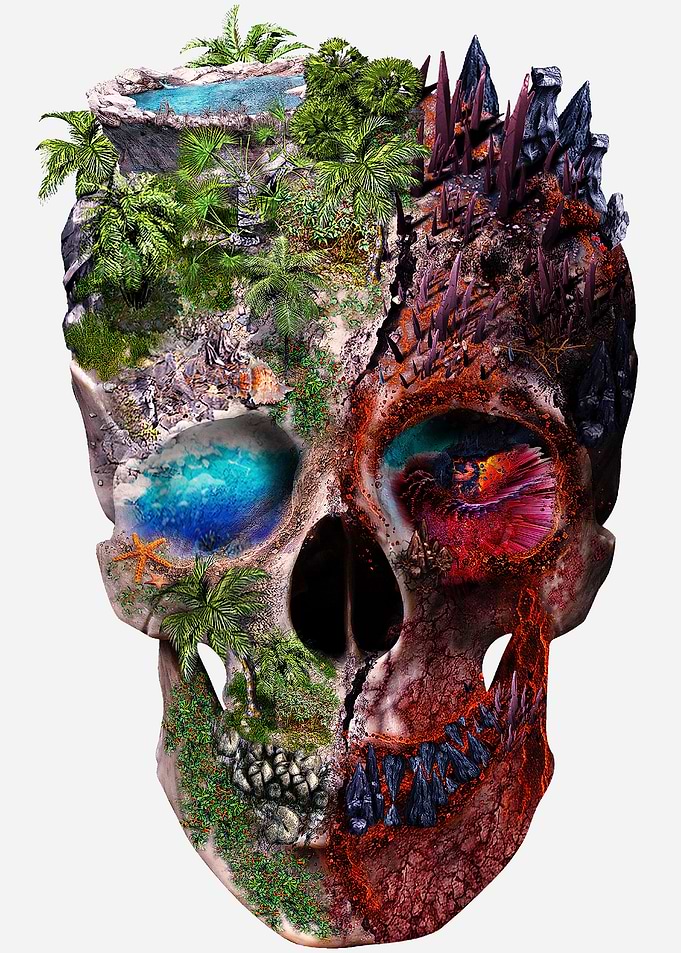 Metamorphosis